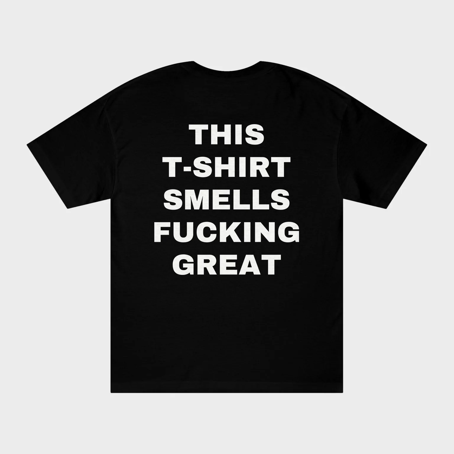 This T-Shirt Smells Fucking Great — full back print