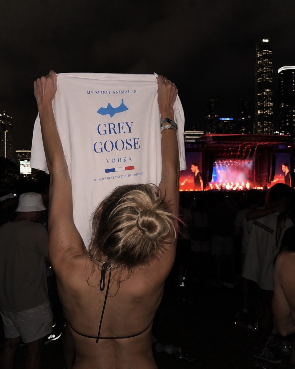 My Spirit Animal Is Grey Goose
